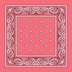 Pink Paisley Bandanas - Dozen Packed 14X14